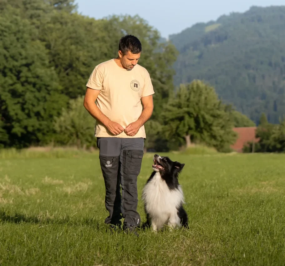 Hundetrainer Flo trainiert mit DreisamDog Jaro auf einer grünen Wiese. 