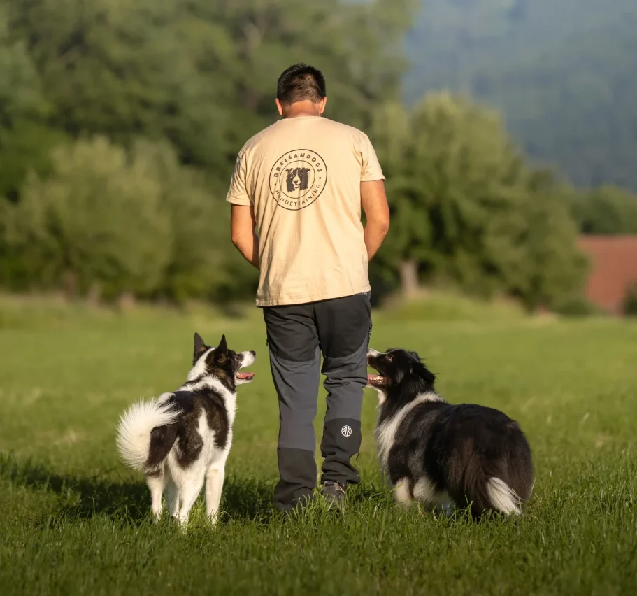 DreisamDogs Hundetrainer Flo läuft mit seinen beiden Hunden über eine Wiese.